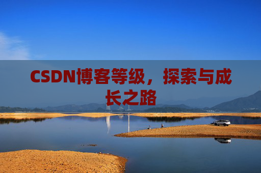 CSDN博客等级，探索与成长之路